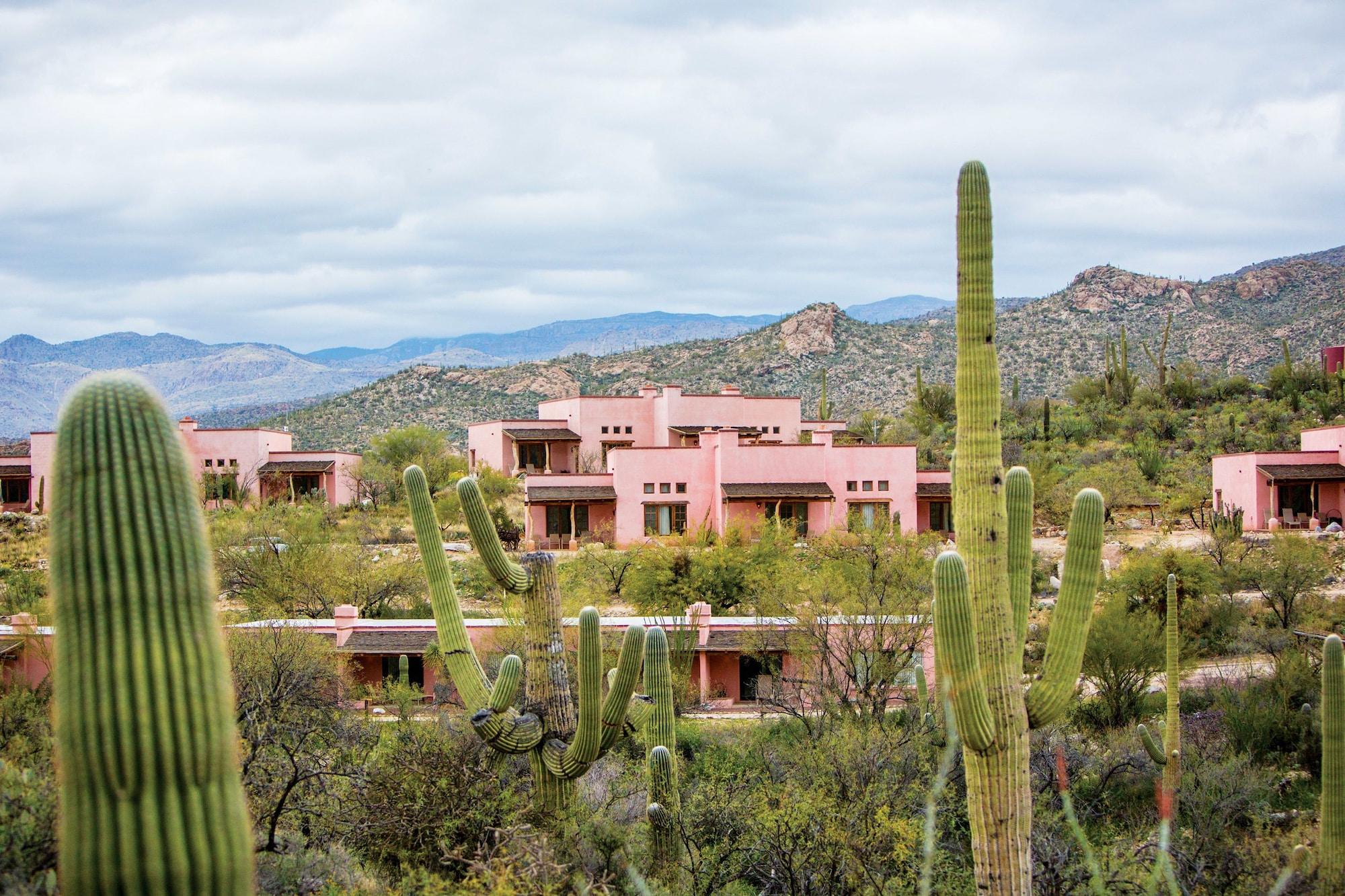 Tanque Verde Guest Ranch Τούσον Εξωτερικό φωτογραφία