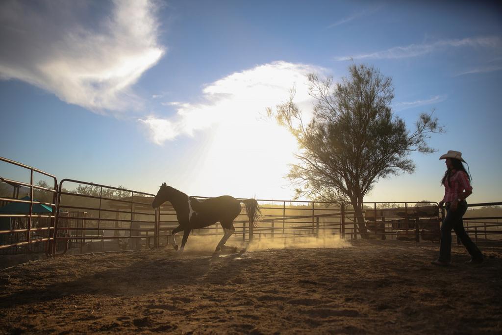 Tanque Verde Guest Ranch Τούσον Εξωτερικό φωτογραφία