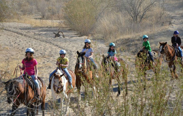 Tanque Verde Guest Ranch Τούσον Εξωτερικό φωτογραφία